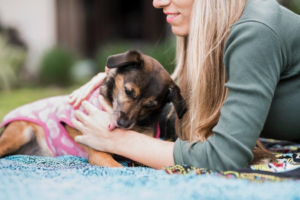Read more about the article Saving Money On Pet Care: Tips For Budget Friendly Pet Ownership